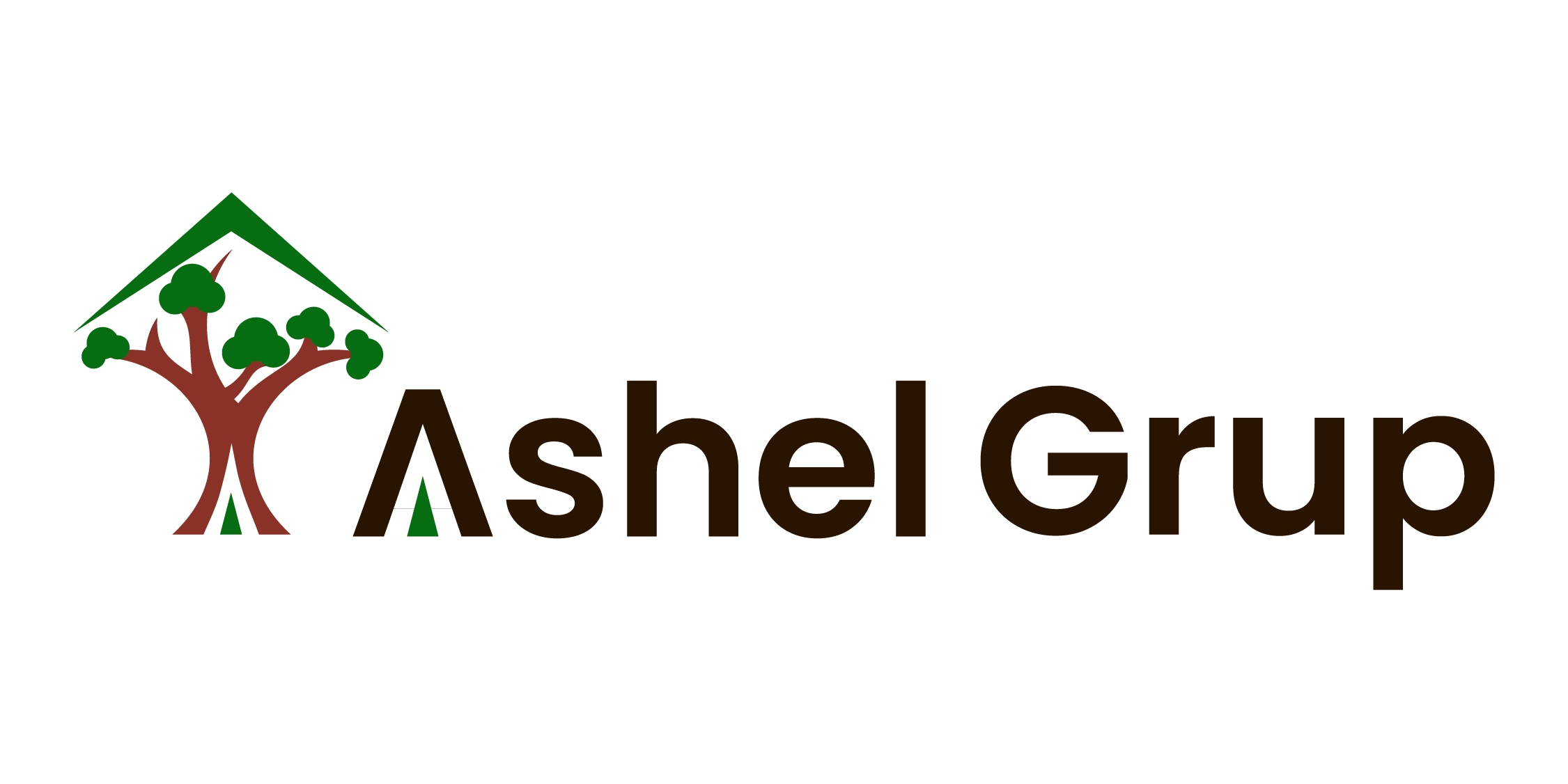 Ashel Grup İnşaat